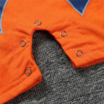 Costume Dragon Ball