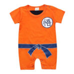 Costume Dragon Ball