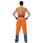Costume Goku