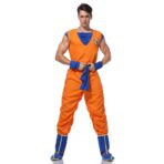 Costume Goku