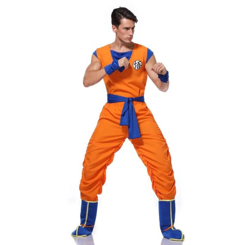 Costume Goku