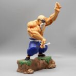 Figura di Master Roshi